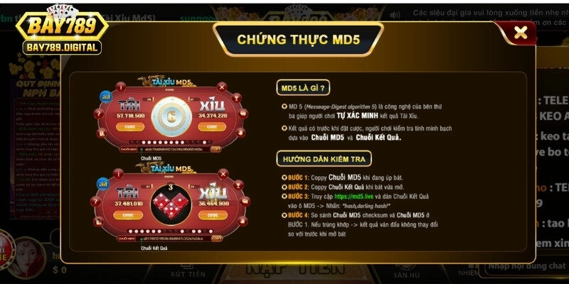 Tìm hiểu cách chơi tài xỉu phiên bản MD5 chi tiết